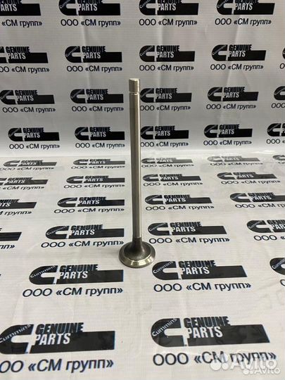 Клапан выпускной Cummins QSM11 ISM11 M11