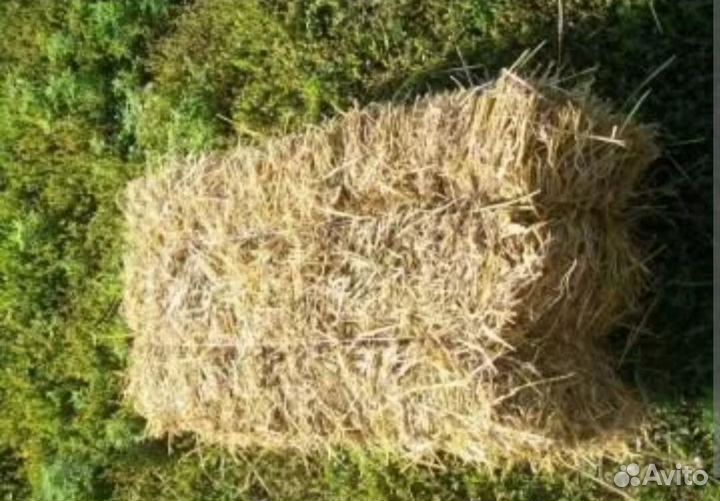 Солома в тюках