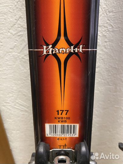 Горные лыжи мужские комплект