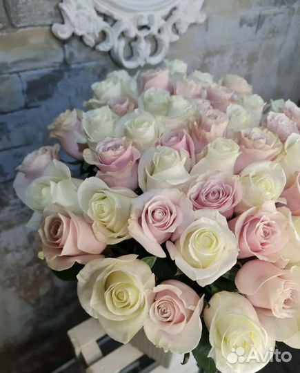 51 роза эквадор микс/нежный букет с доставкой