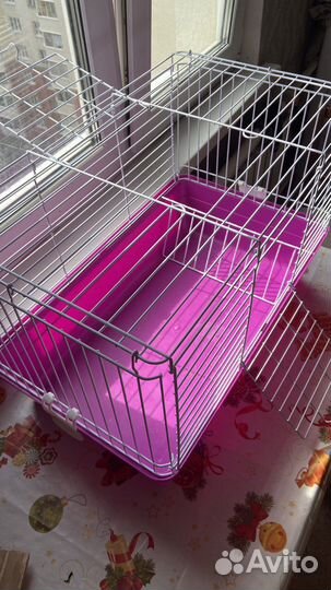 Клетка средняя