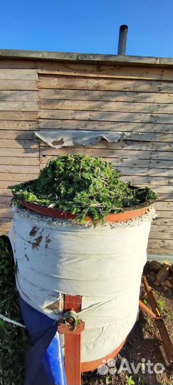 Масло пихтовое 0.5 л