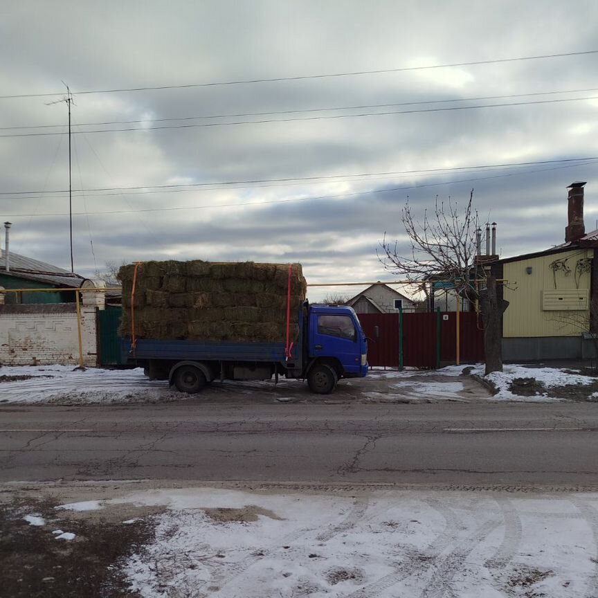 Сено в квадратных тюках