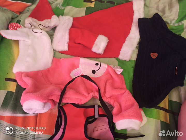 Одежда для маленьких собак