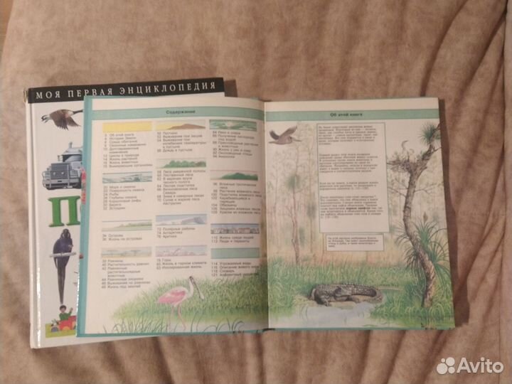 Детская энциклопедия