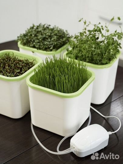 Проращиватель зелени 4-х модульный
