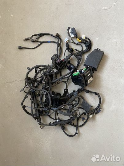 Электропроводка моторного отсека KIA RIO