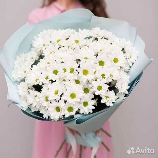 Хризантема Доставка цветов