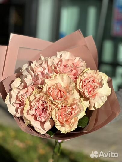 Французские розы