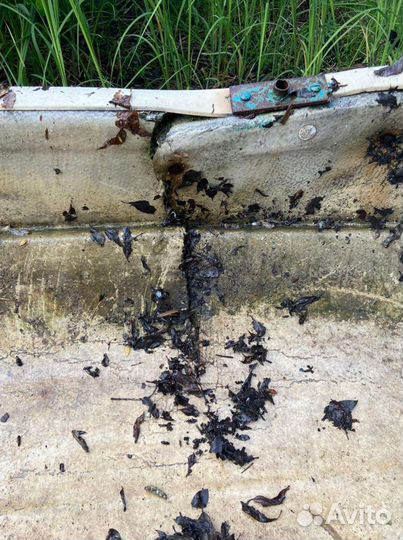 Лодка пелла