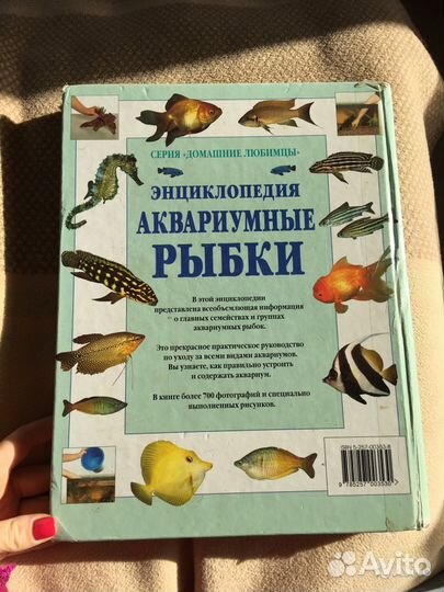 Бейли М., Сэндфорд Дж., Энциклопедия. Рыбки