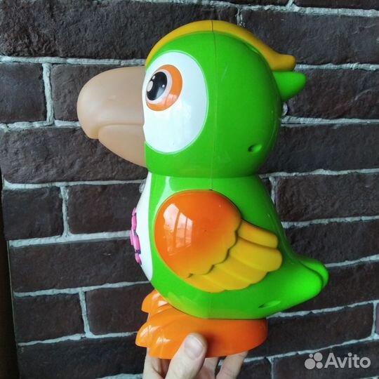 Умный попугай музыкальная игрушка