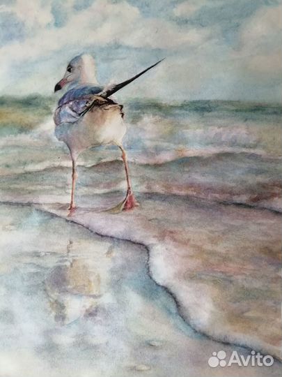 Водоплавающая