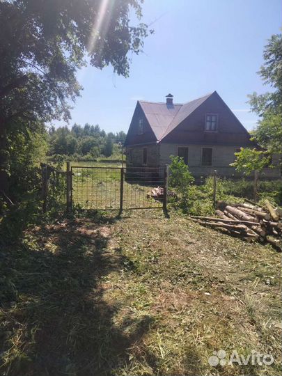 Спил деревьев