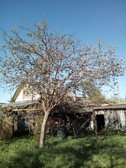 Дом 93 м² на участке 12 сот.