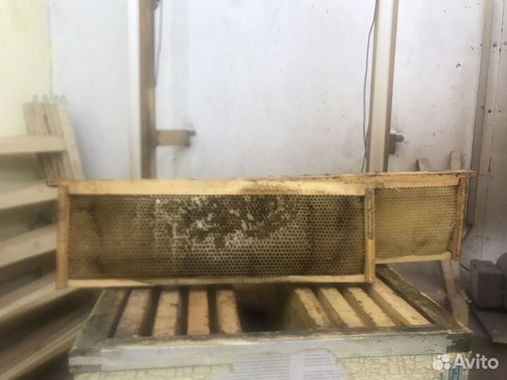 Рамки с сушью