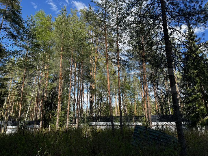 Участок 13 сот. (ИЖС)