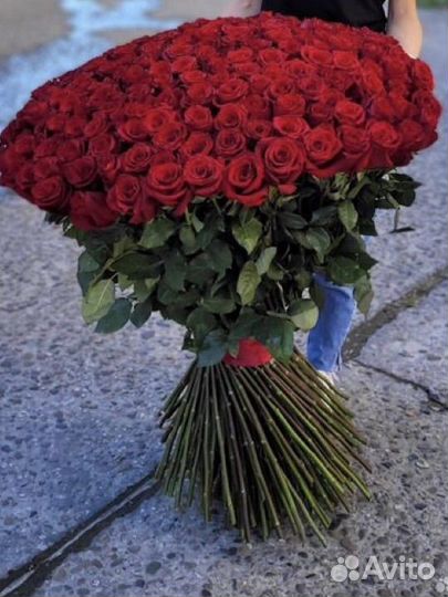 51 роза эквадор 70 см