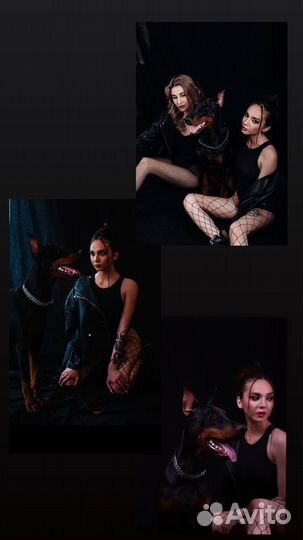 Фотосессия с доберманом