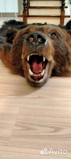 Шкура медведя имитация