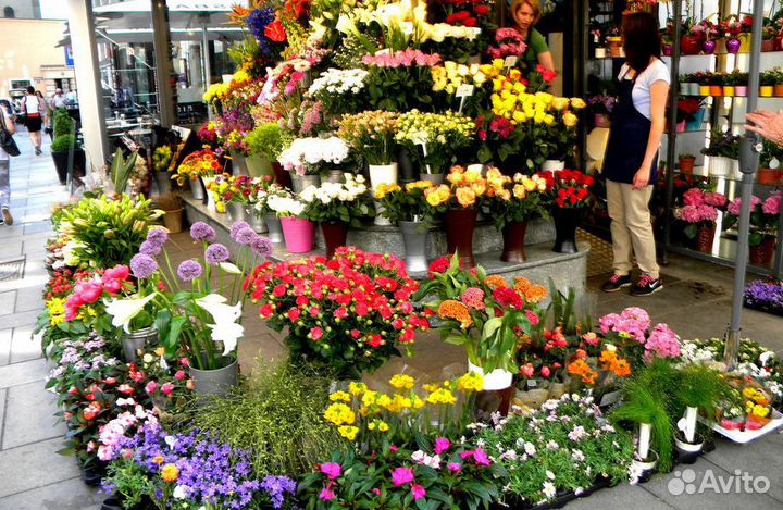 Цветочный магазин премиум класса / В центре Москвы