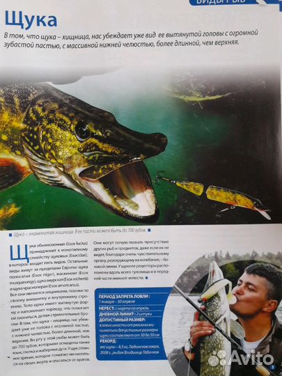 Библиотека рыболова