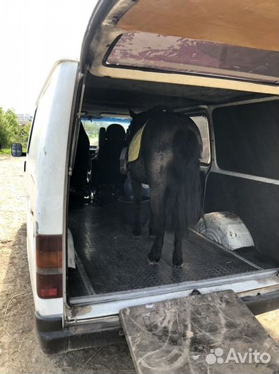 Зоотакси, Перевозка животных, домашних животных