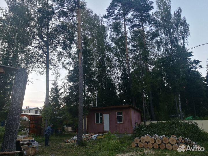 Спил деревьев Кронирование Обрезка