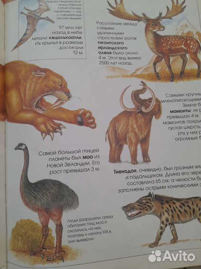 Книга Большая детская энциклопедия