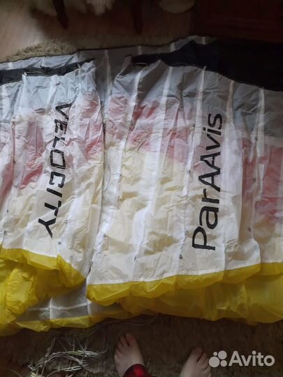 Кайт Параавис