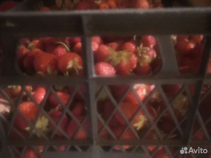 Клубника свежая ягода