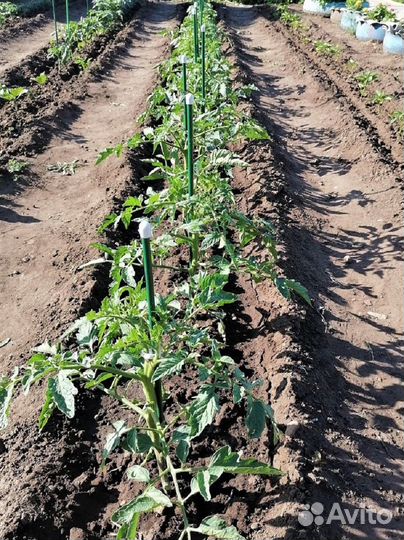 Колышки садовые для растений 150 см (3 штуки)