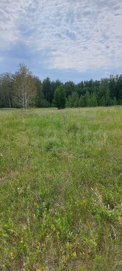 Участок 9,2 га (СНТ, ДНП)