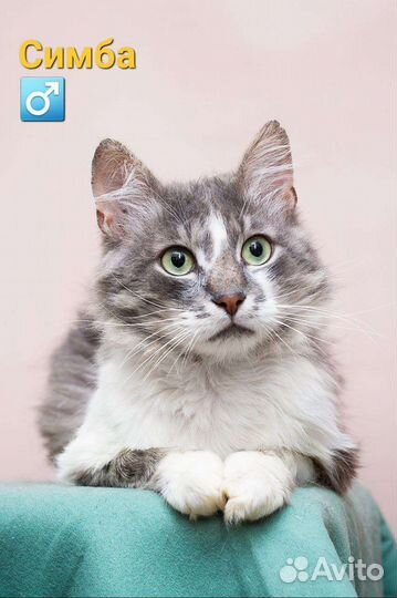 Спасенные из Зоны