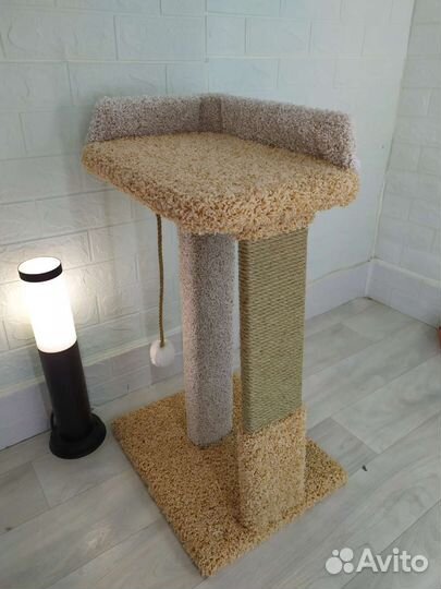 Когтеточка