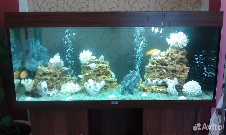 Обслуживание аквариумов