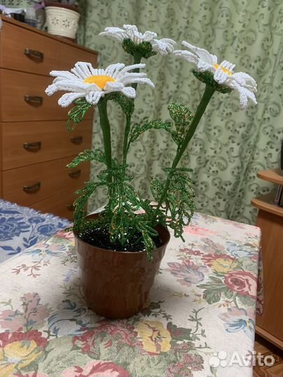 Ромашки из бисера