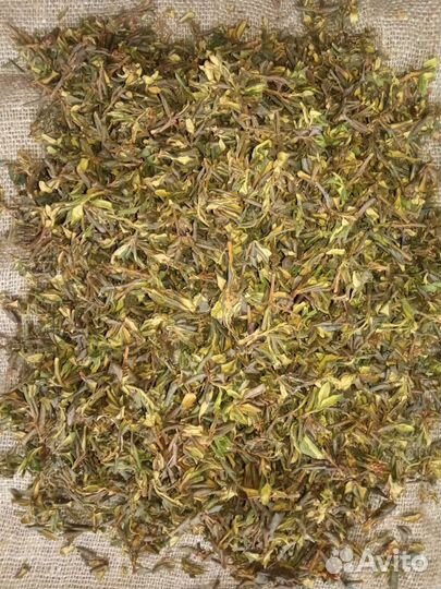 Чай саган дайля