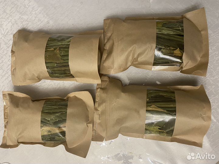 Рододендрон адамса