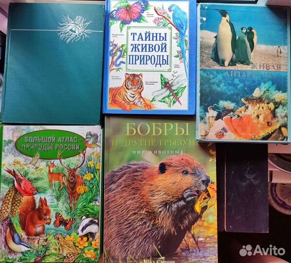 Советские книги животные