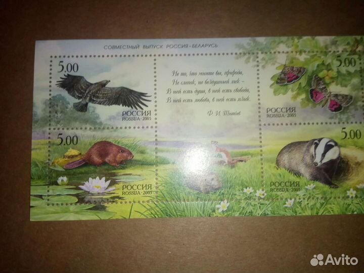 Марки России 5 блоков
