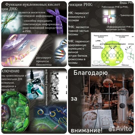 Создание презентаций