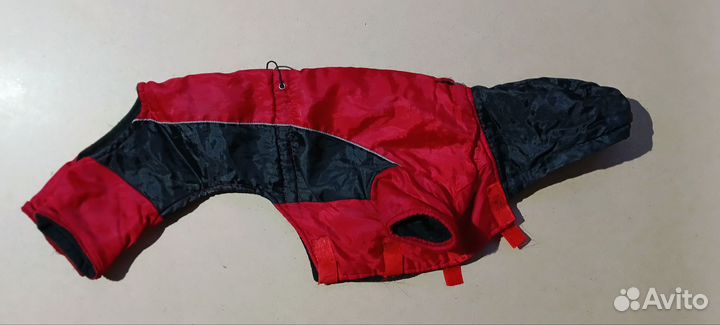 Одежда для собак