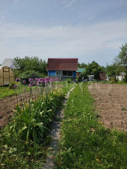 Участок 4,7 сот. (СНТ, ДНП)