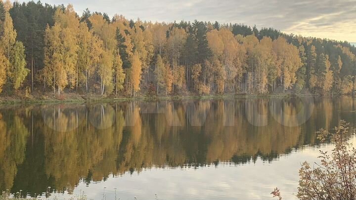 Участок 21,5 сот. (ИЖС)