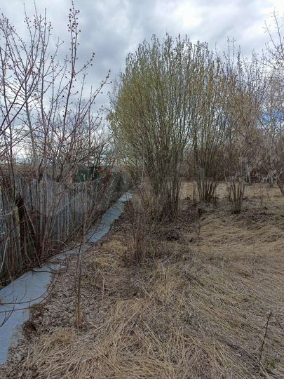 Участок 21 сот. (ИЖС)