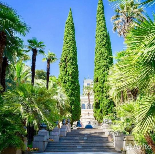 Поездка в Сочи с проживанием