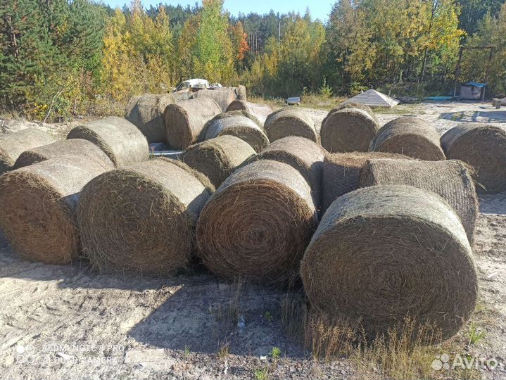 Сено луговое