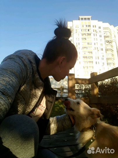 Передержка животных, зооняня