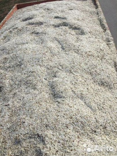 Отжатый жом